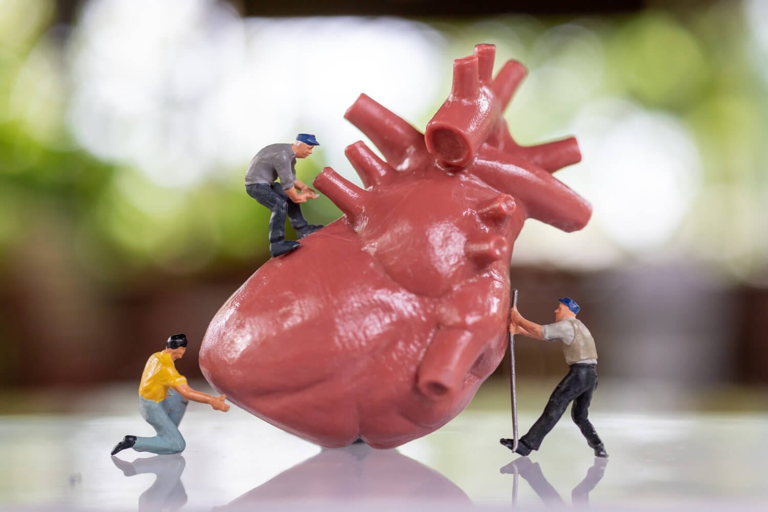 5 Doenças Cardiovasculares Mais Comuns: Sintomas e Prevenção