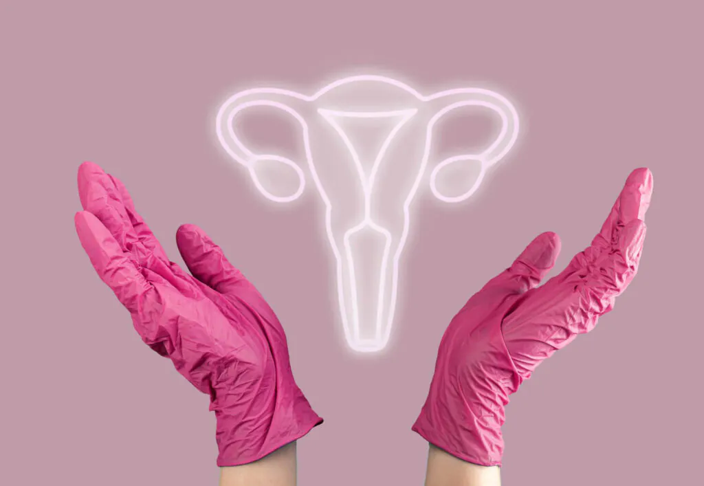 Ginecologista: A Importância Das Consultas Regulares Para Saúde Da Mulher 2 Ginecologista