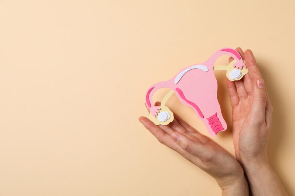 Endometriose: Sintomas, Diagnóstico E Acompanhamento Médico Para Melhor Qualidade De Vida 2 Endometriose