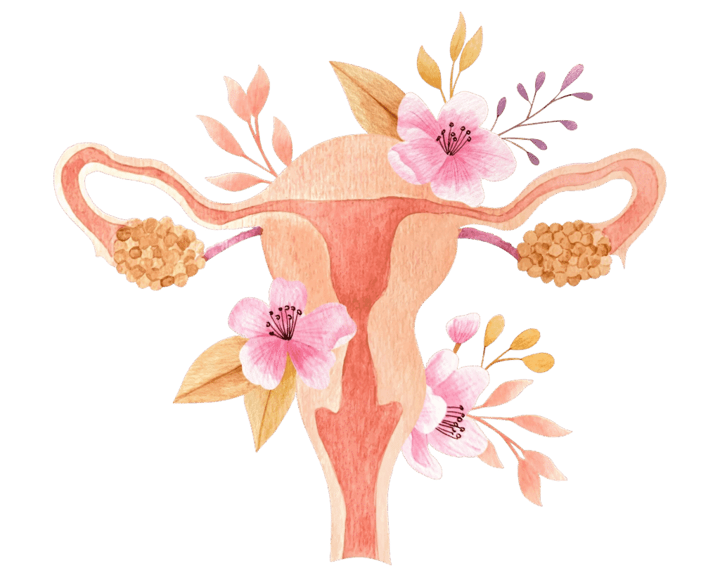 Endometriose: Sintomas, Diagnóstico E Acompanhamento Médico Para Melhor Qualidade De Vida 4 Endometriose