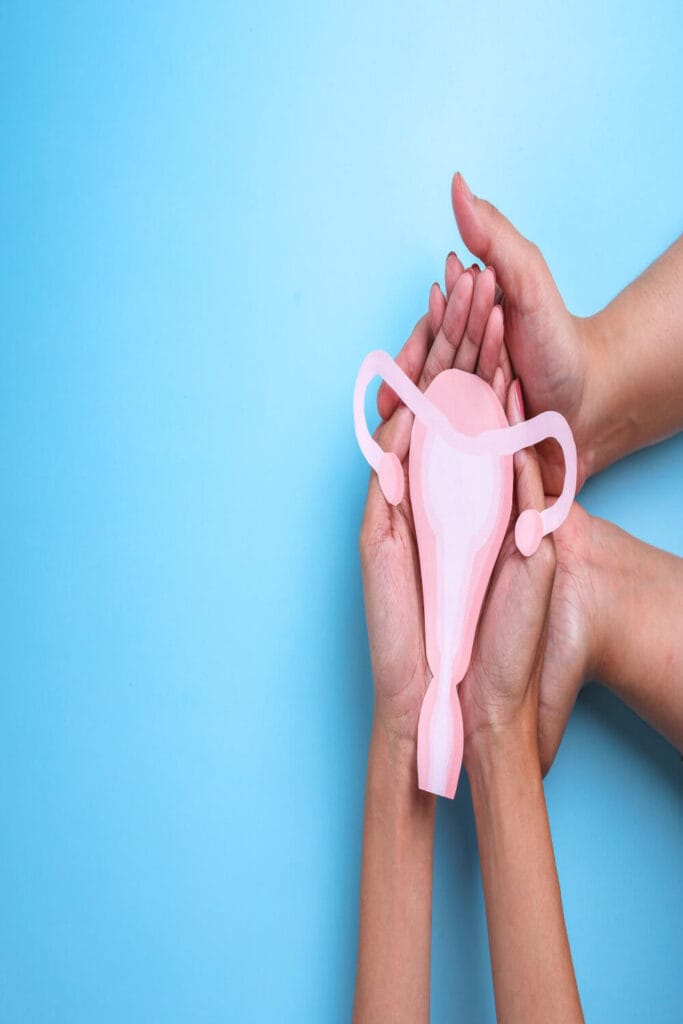 Endometriose: Sintomas, Diagnóstico E Acompanhamento Médico Para Melhor Qualidade De Vida 3 Endometriose